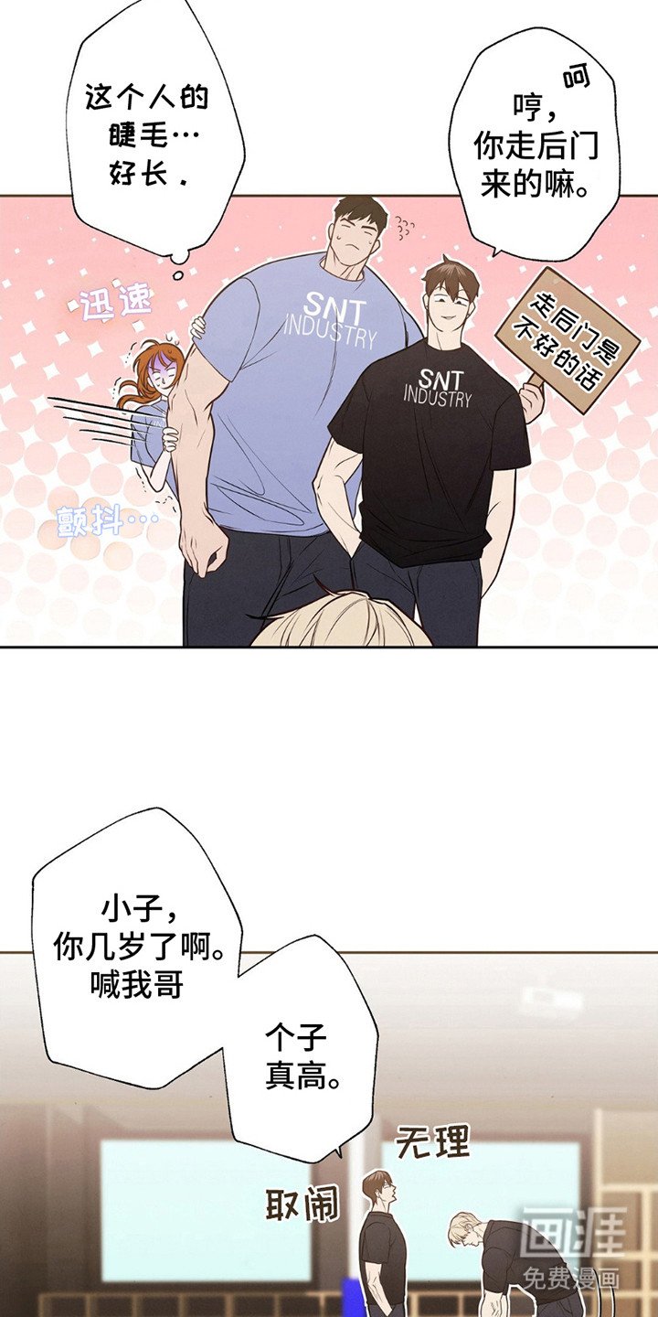 第10章：新人们
