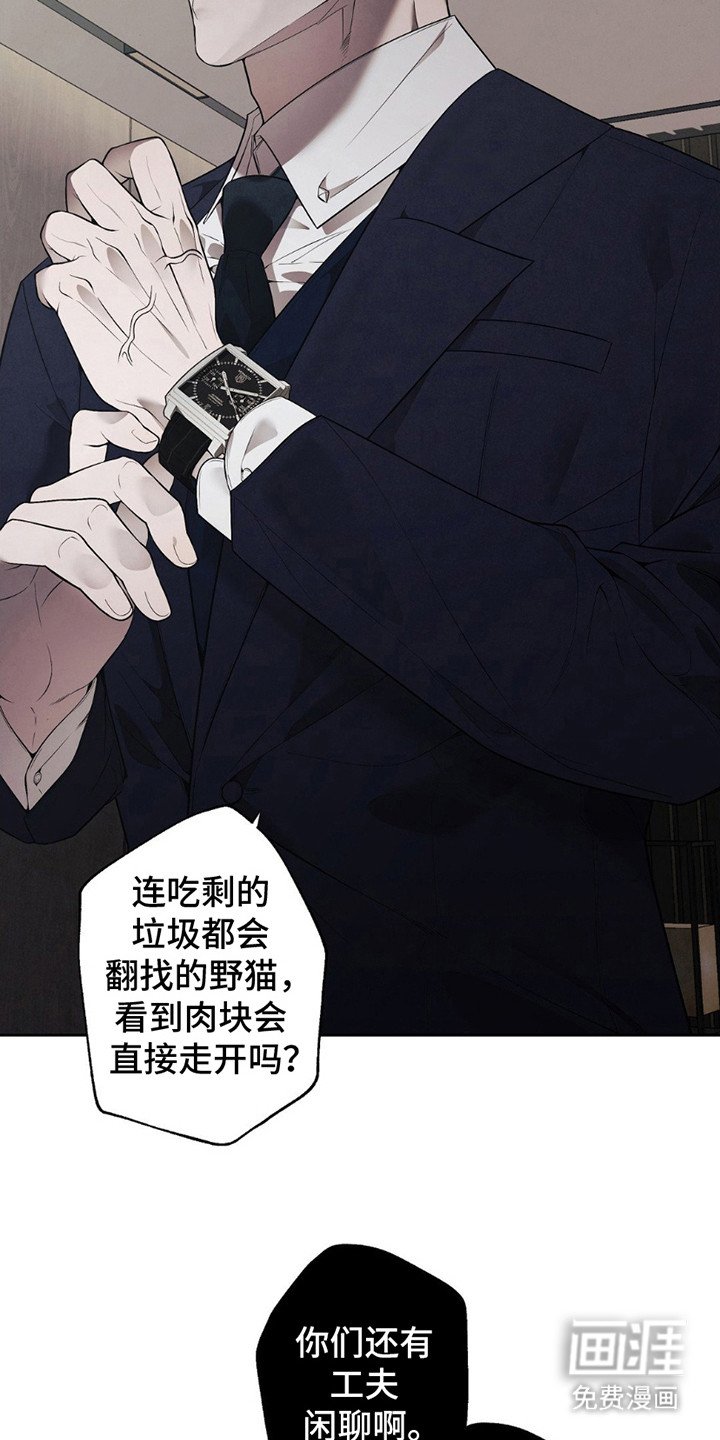 第10章：新人们