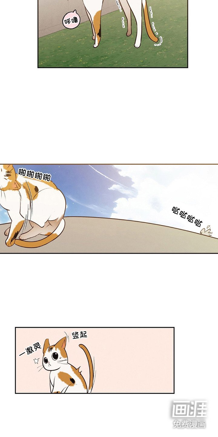 第11章：魔鬼训练