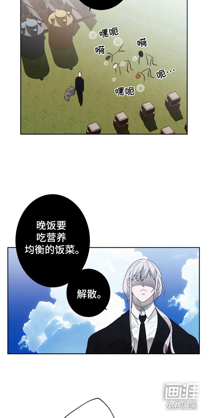 第11章：魔鬼训练