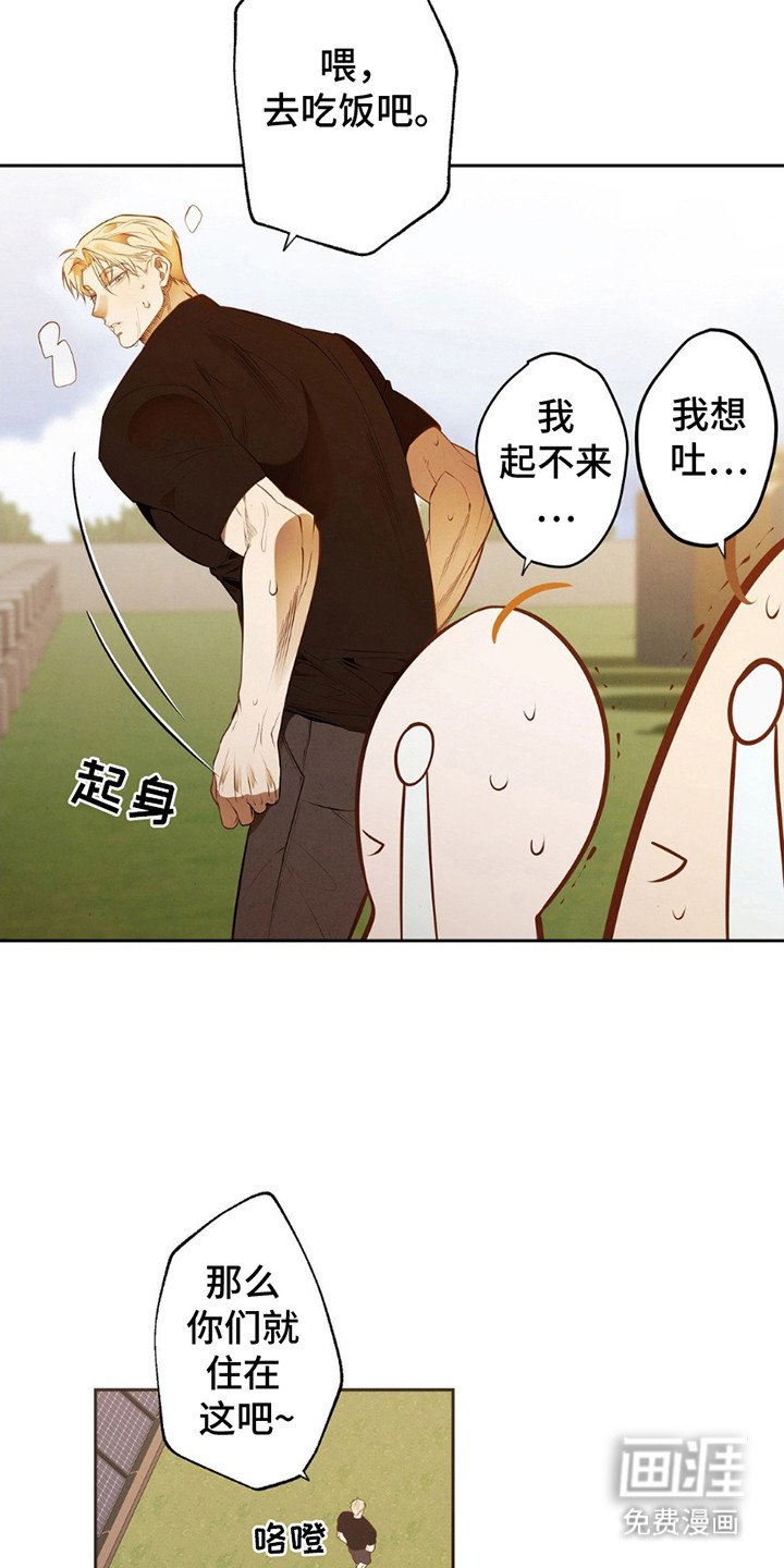 第11章：魔鬼训练