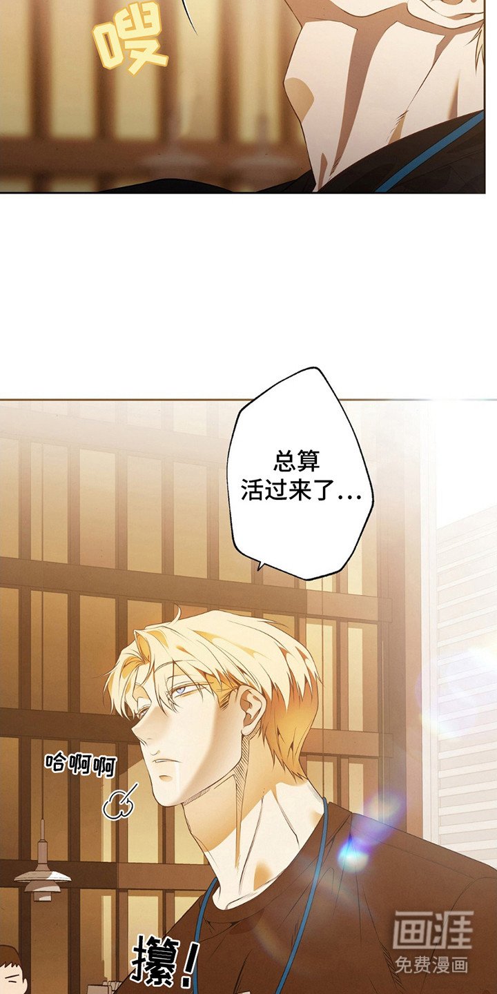 第11章：魔鬼训练