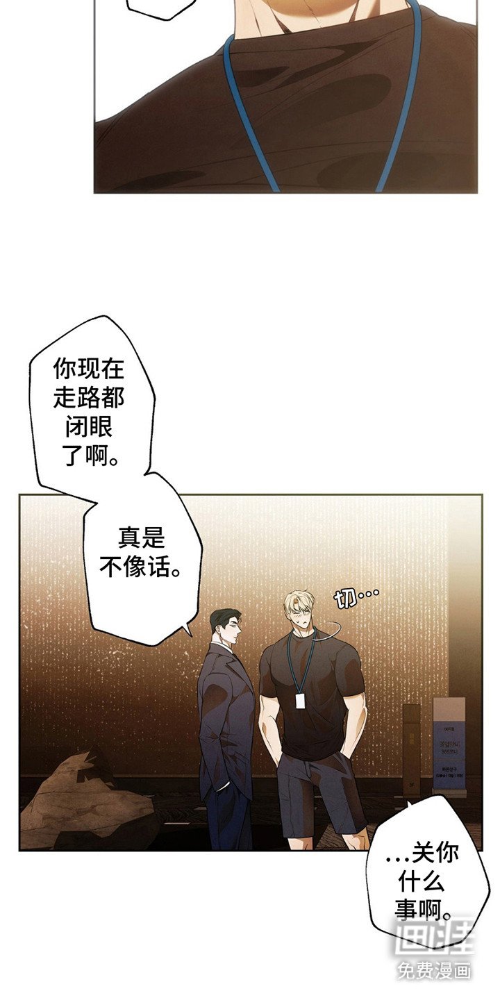 第12章：装腔作势
