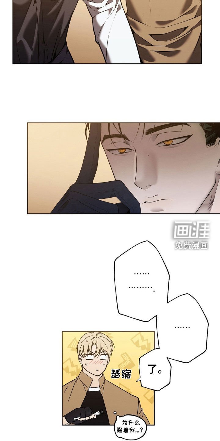 第13章：你等我喝醉