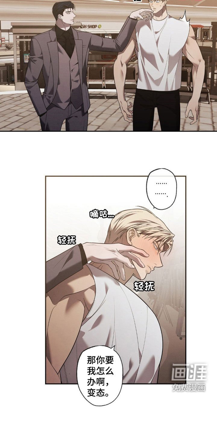 第20章：赞美