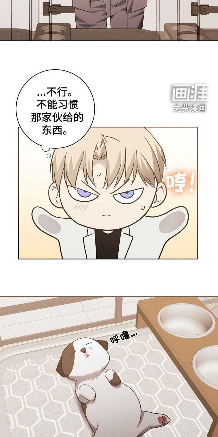 第24章：你是跟踪狂