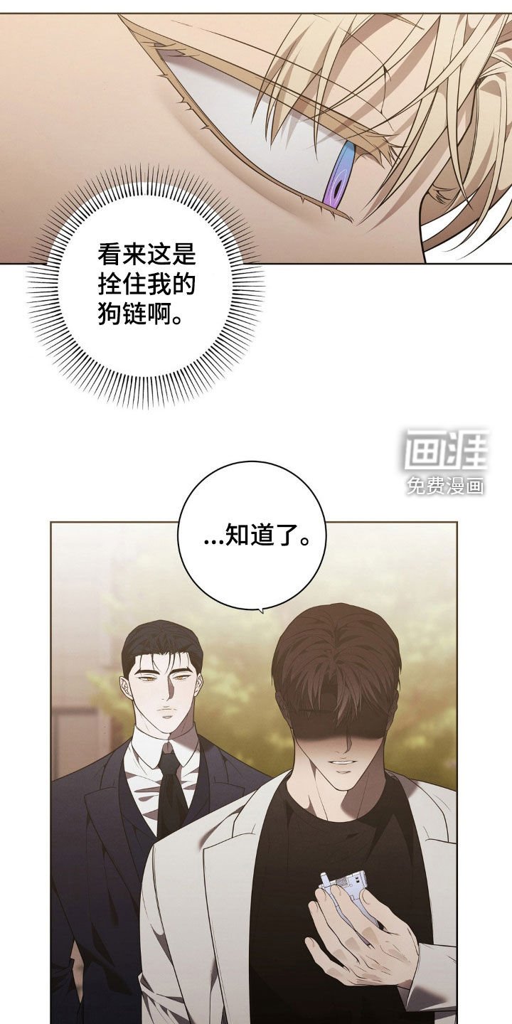 第25章：不要抛弃我