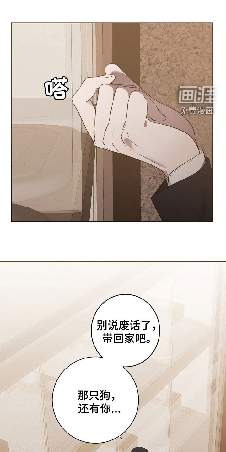 第26章：这是什么