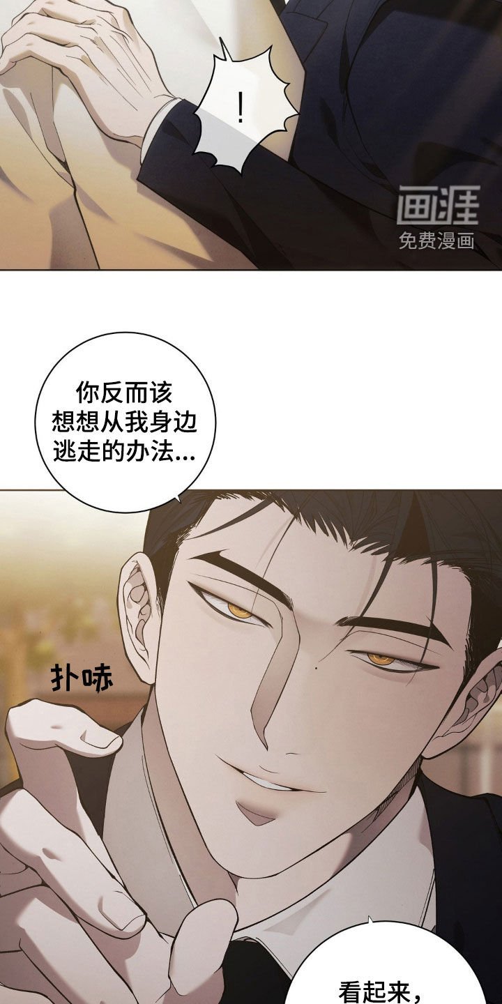 第26章：这是什么