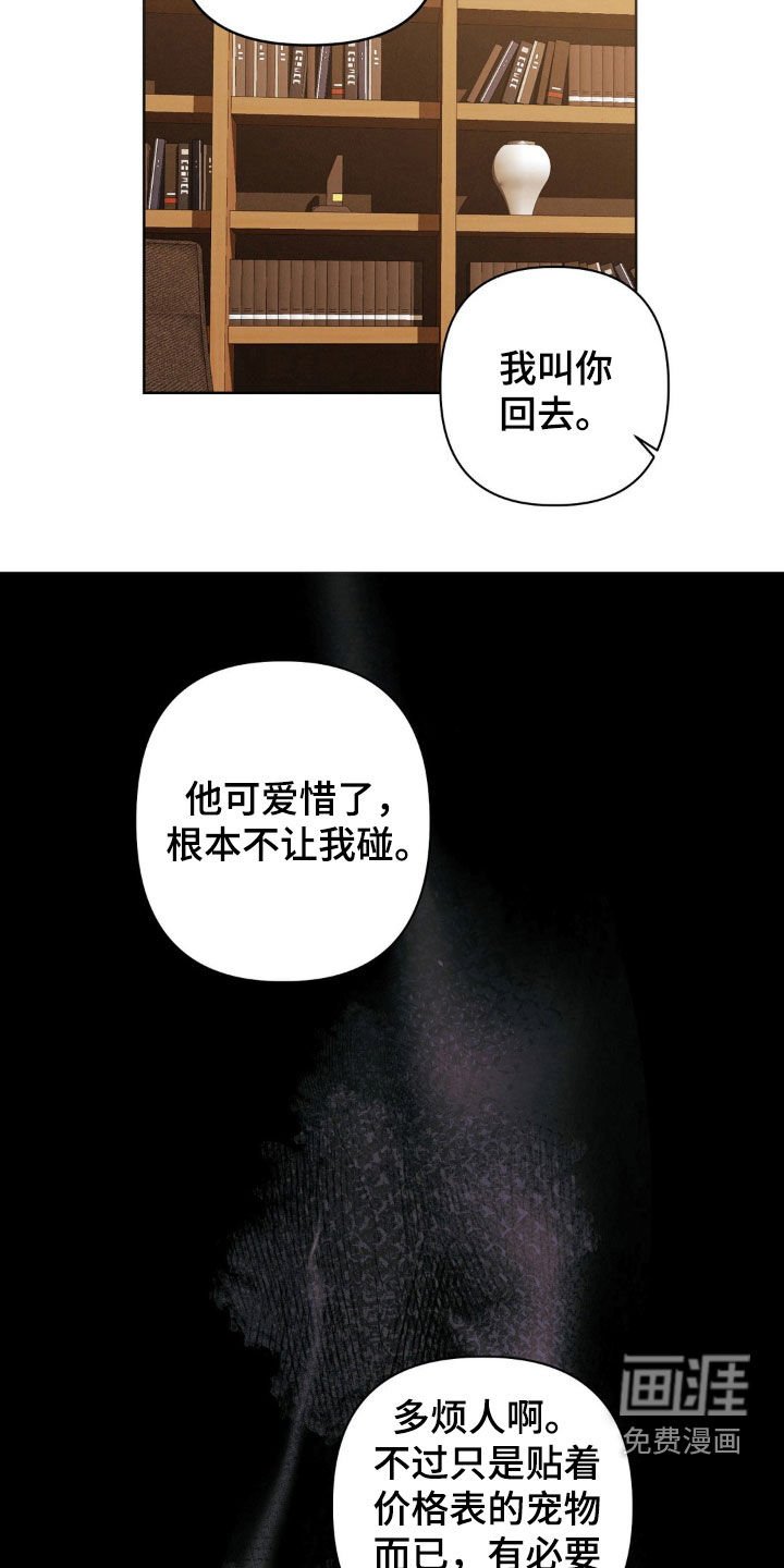 第31章：太偏执了