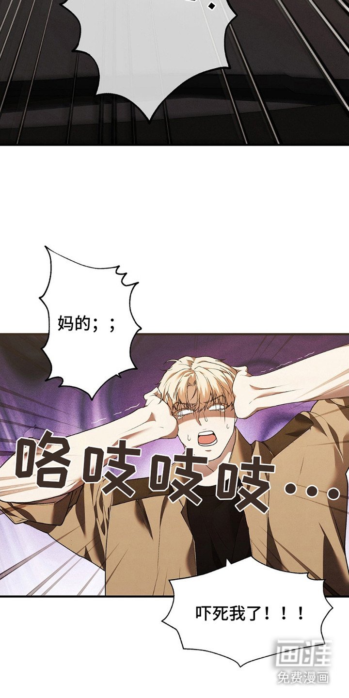 第8章：老本行