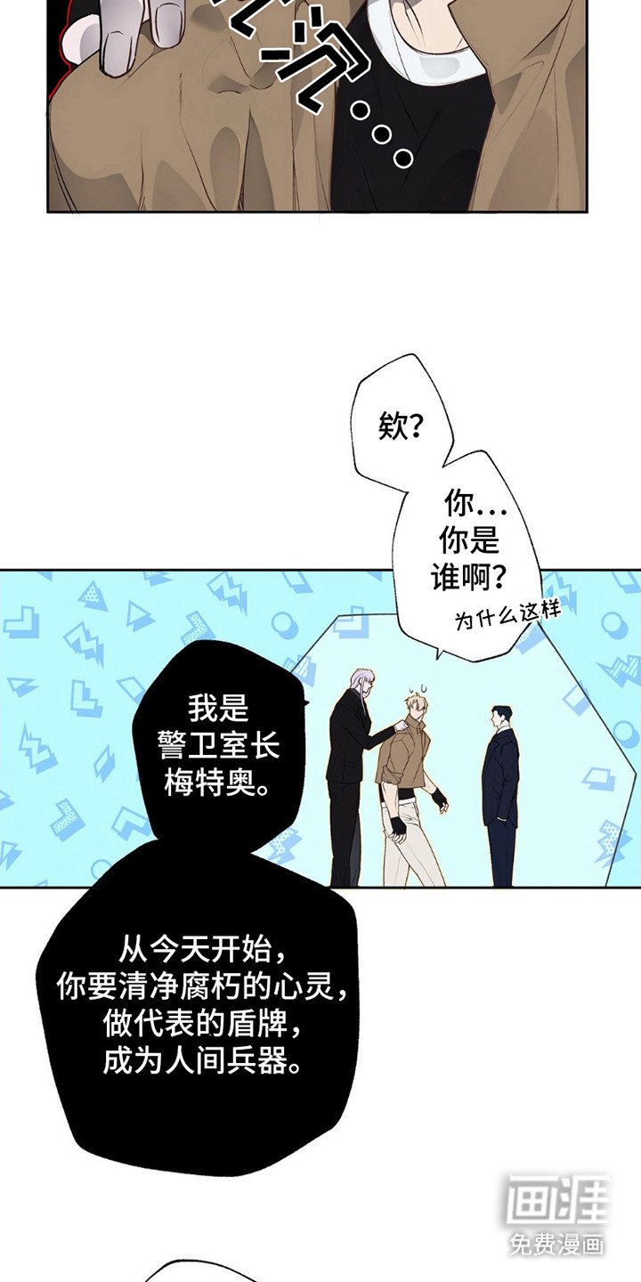 第9章：测试