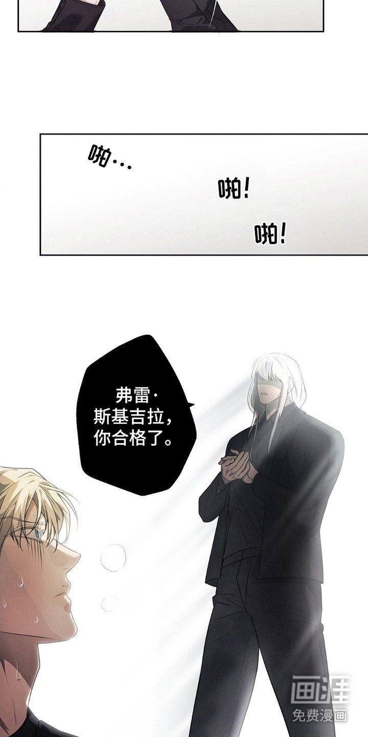 第9章：测试