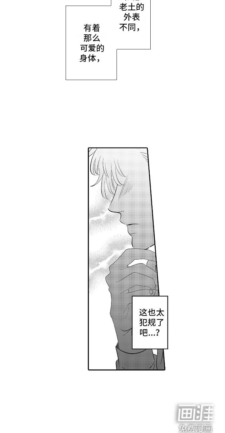 第4章：无视