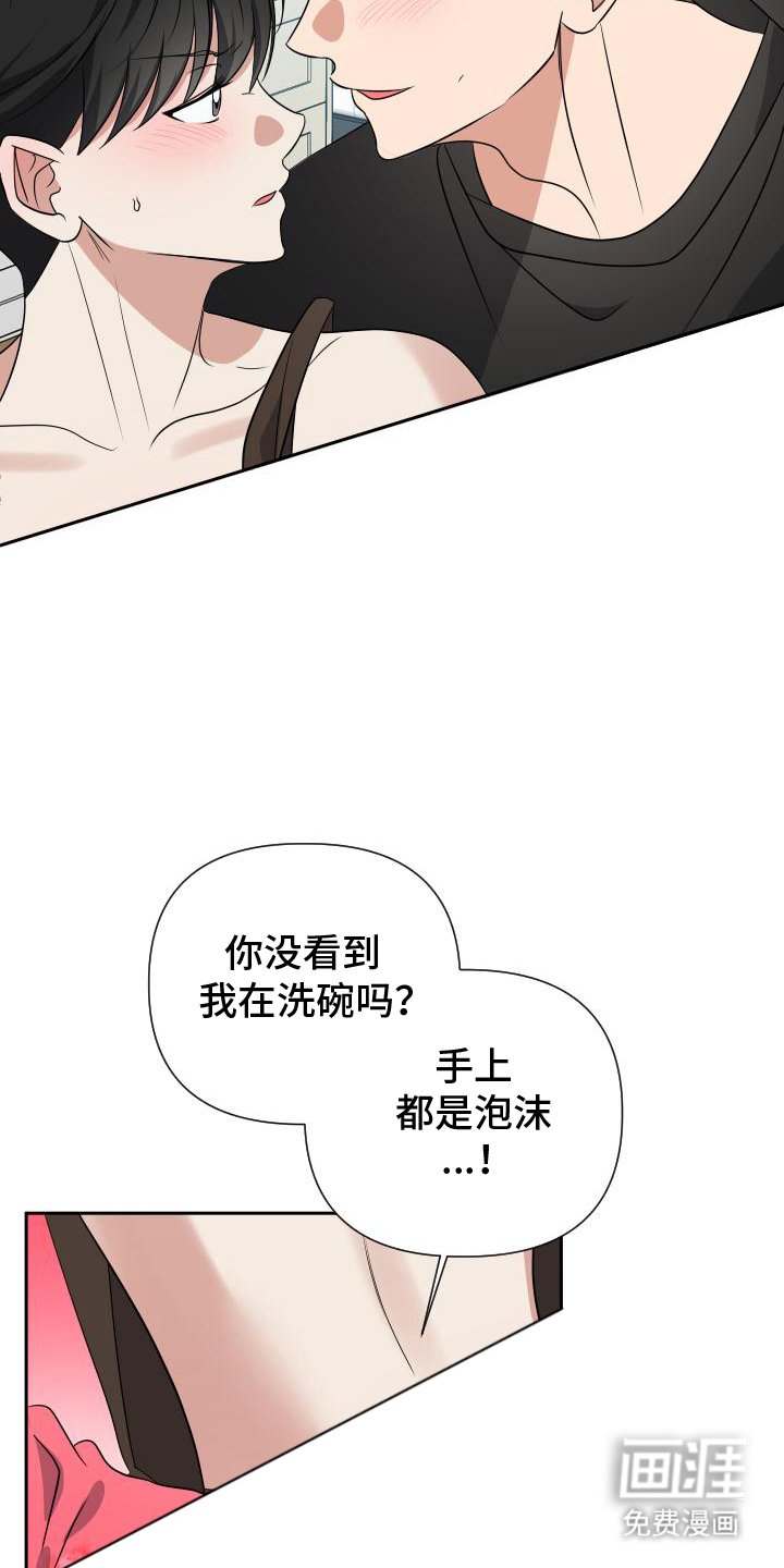 第18章：围裙