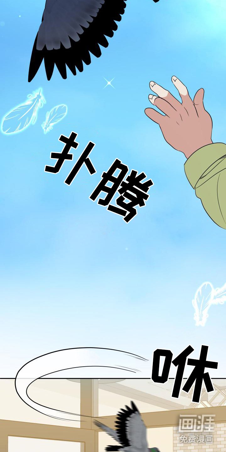 第21章：犯规
