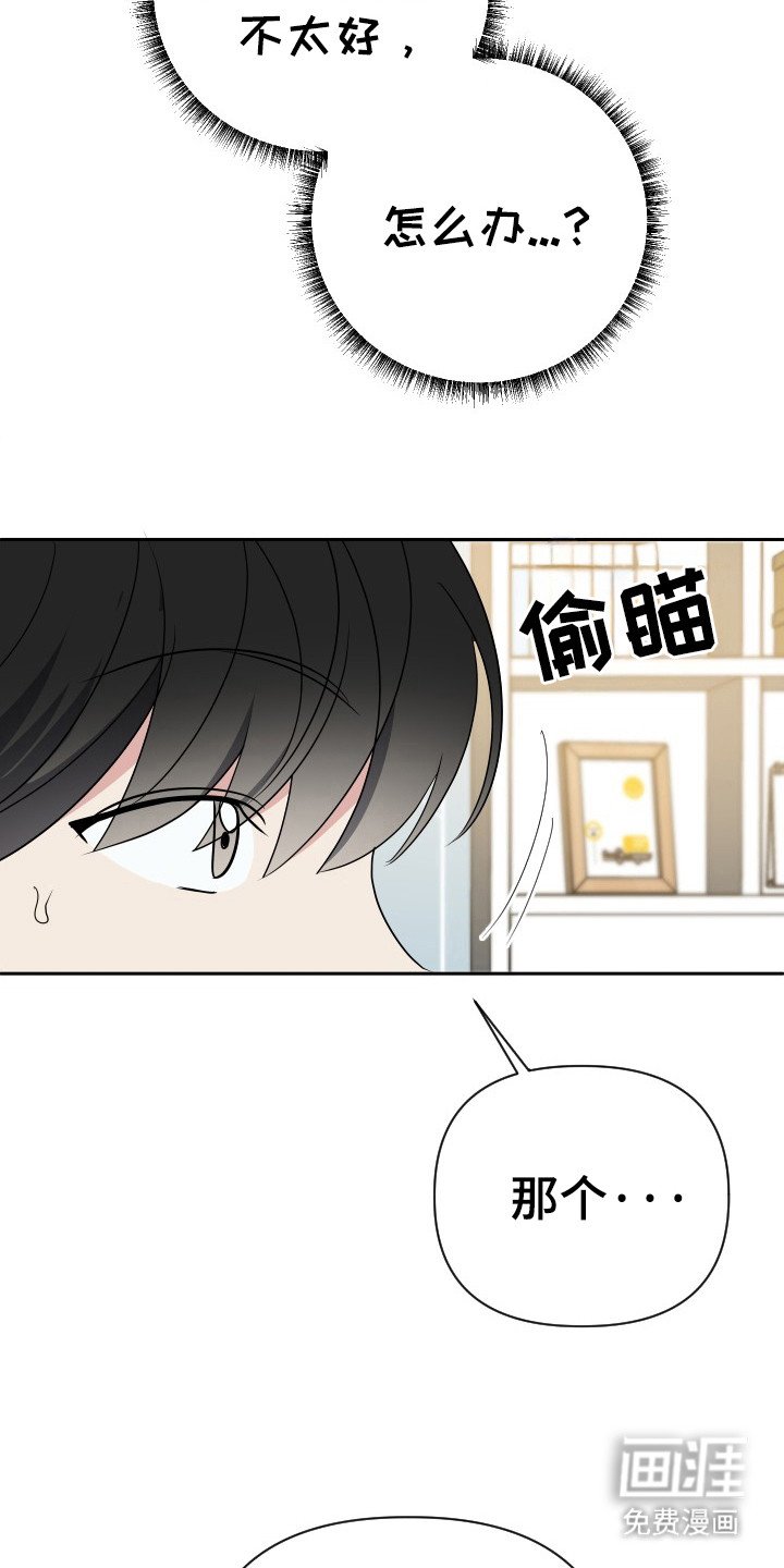 第47章：咖喱粉