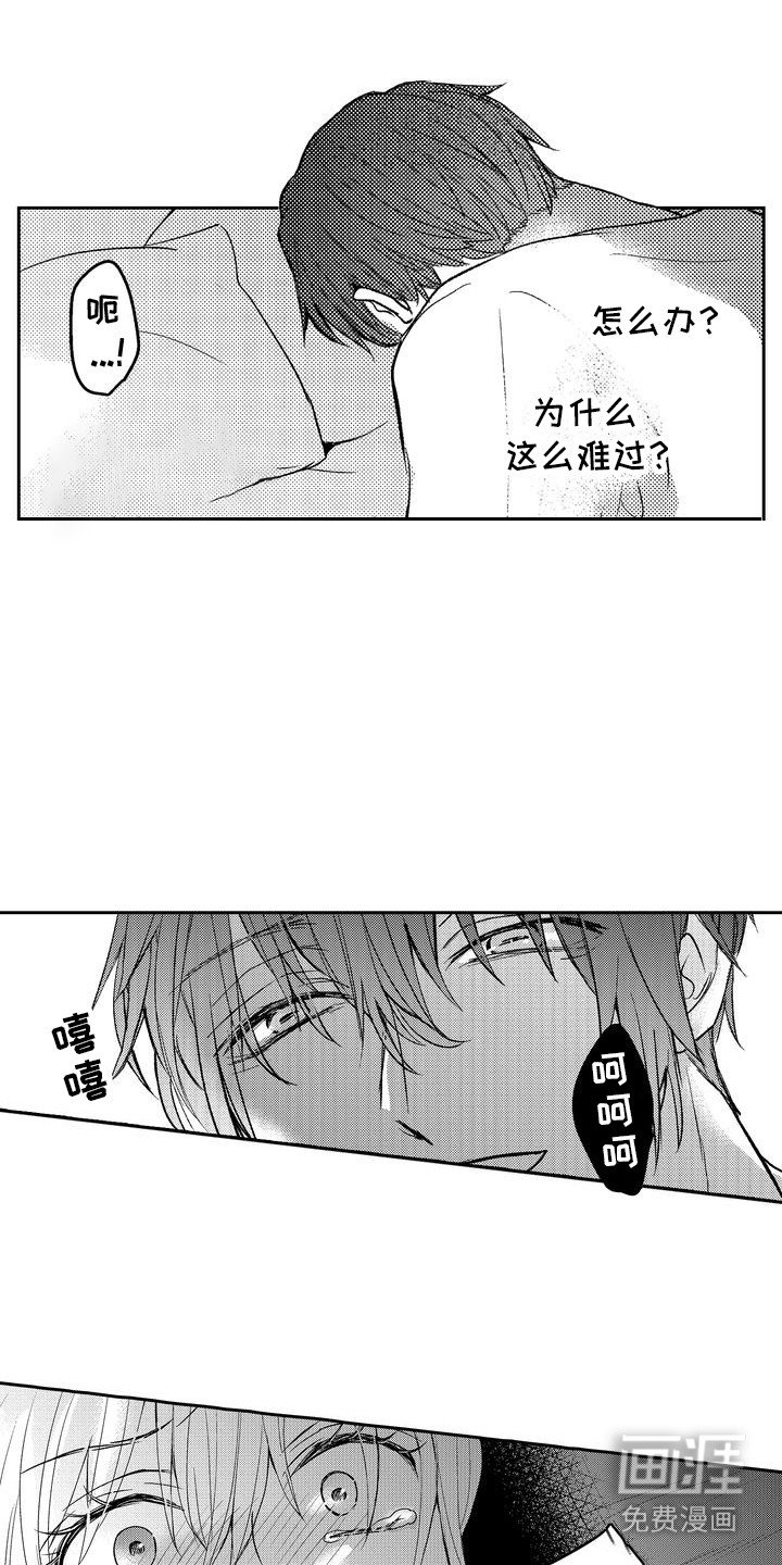 第13章：流泪