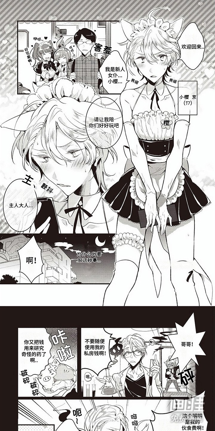 第1章：女仆咖啡厅