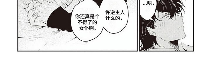 第14章：他的心意（完结）