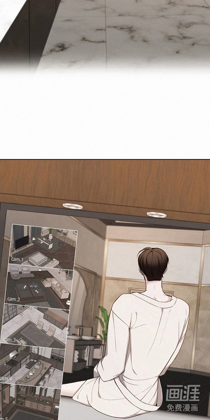 第11章：监视