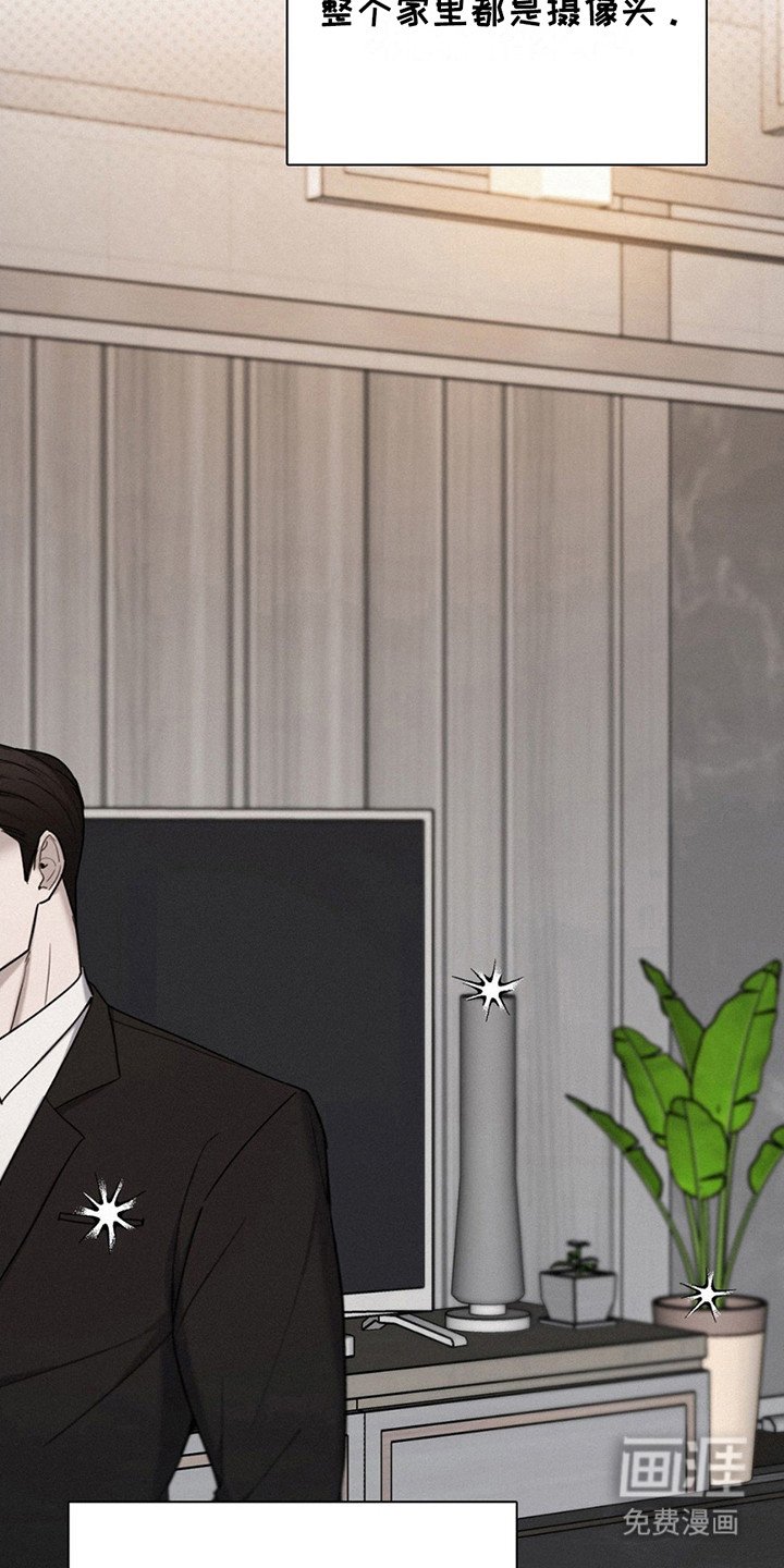 第11章：监视