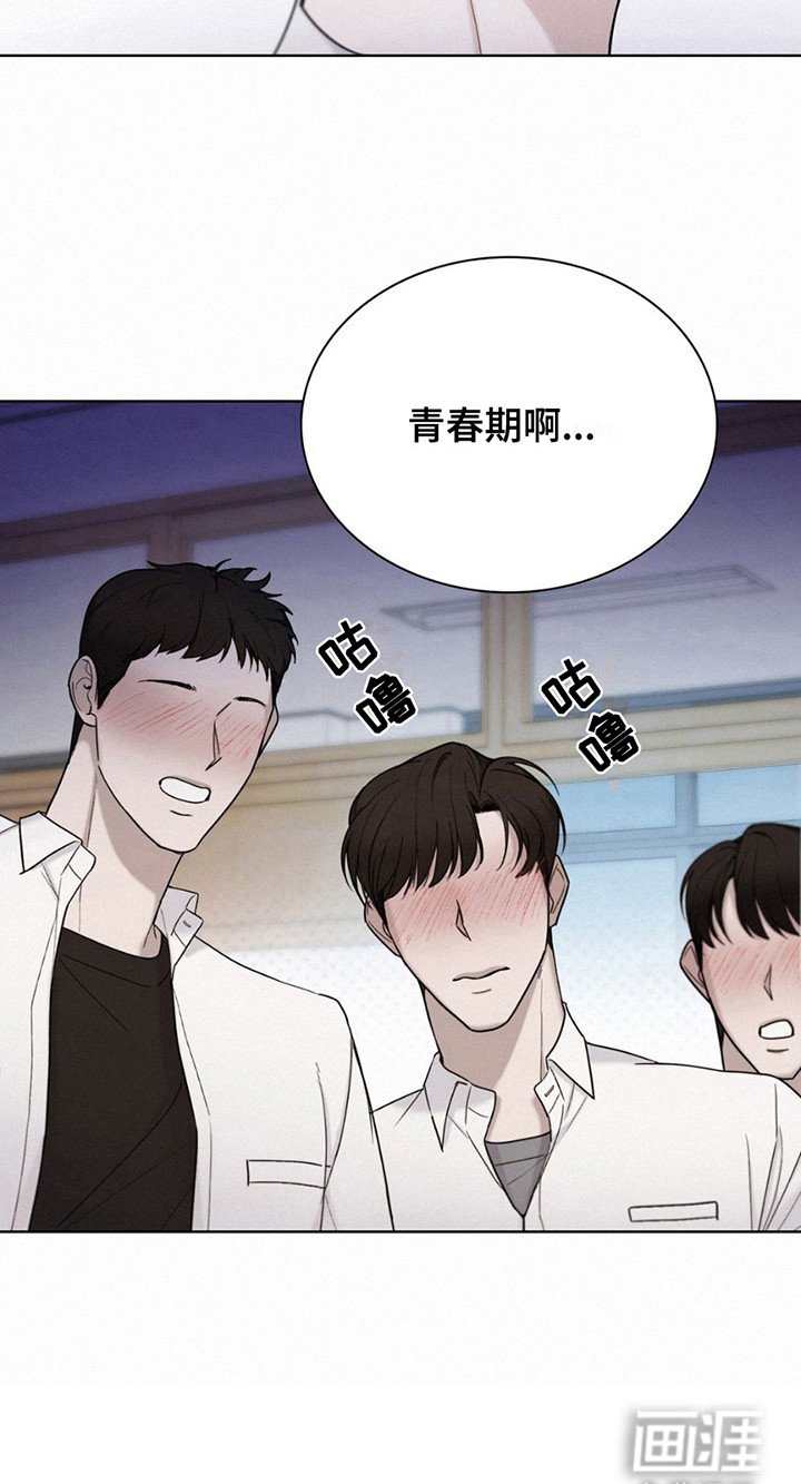 第14章：数羊