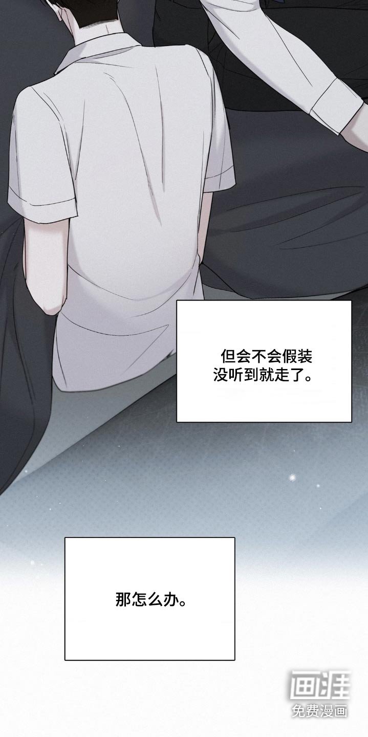 第19章：玫瑰花