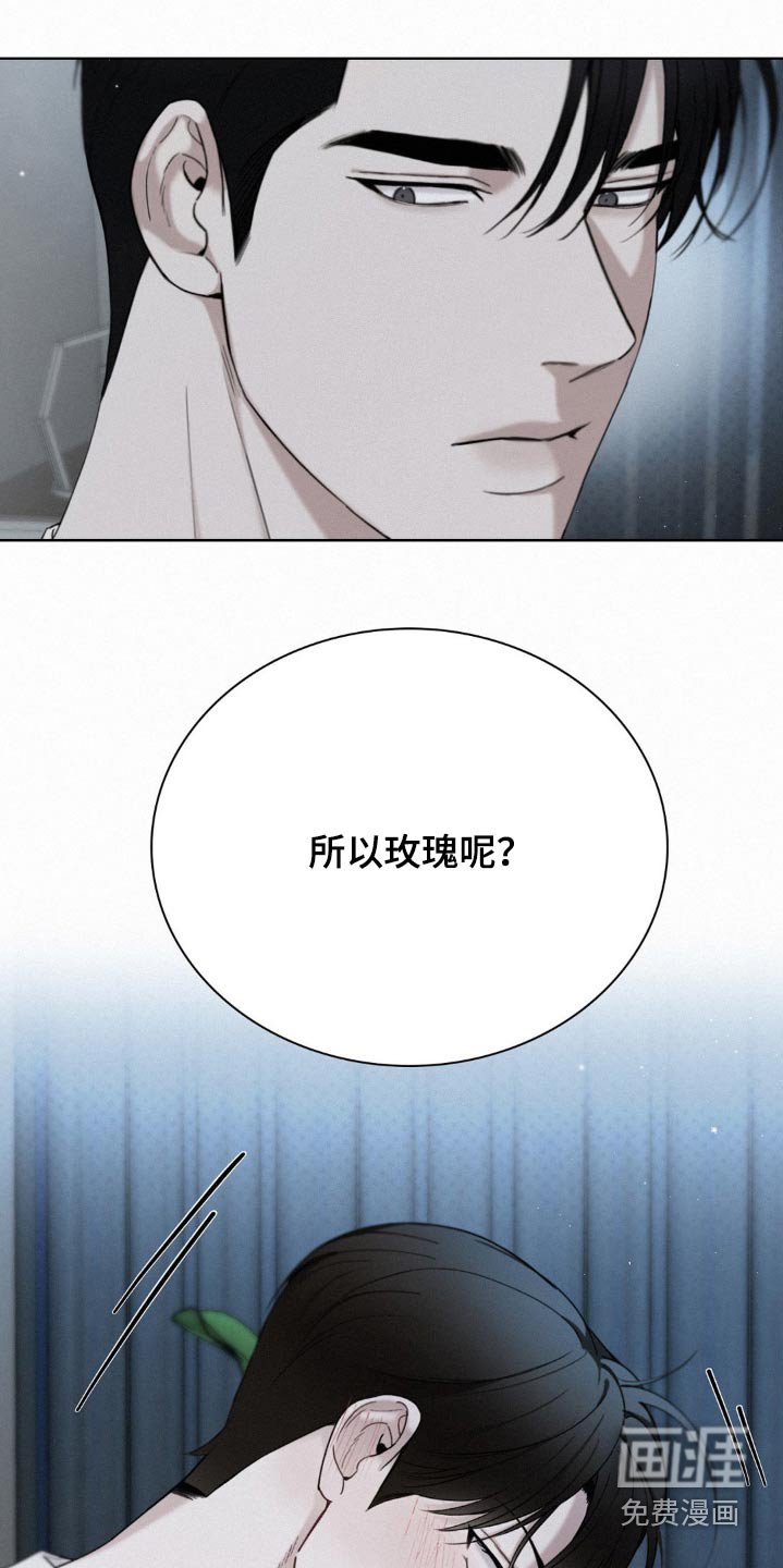 第19章：玫瑰花