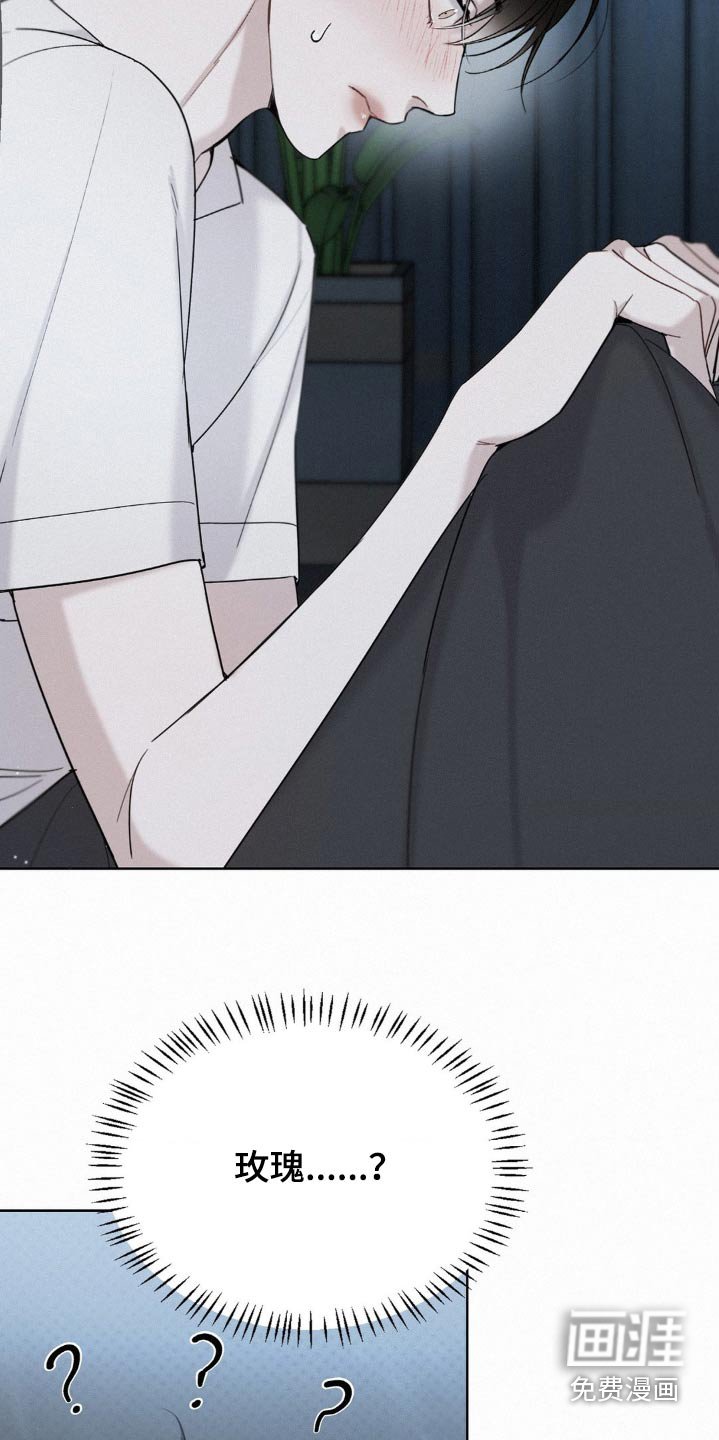 第19章：玫瑰花