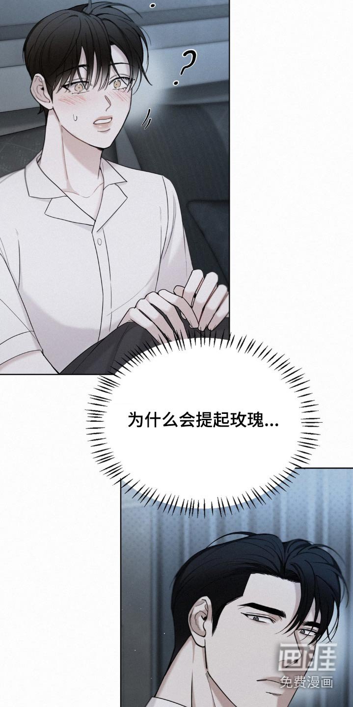 第19章：玫瑰花
