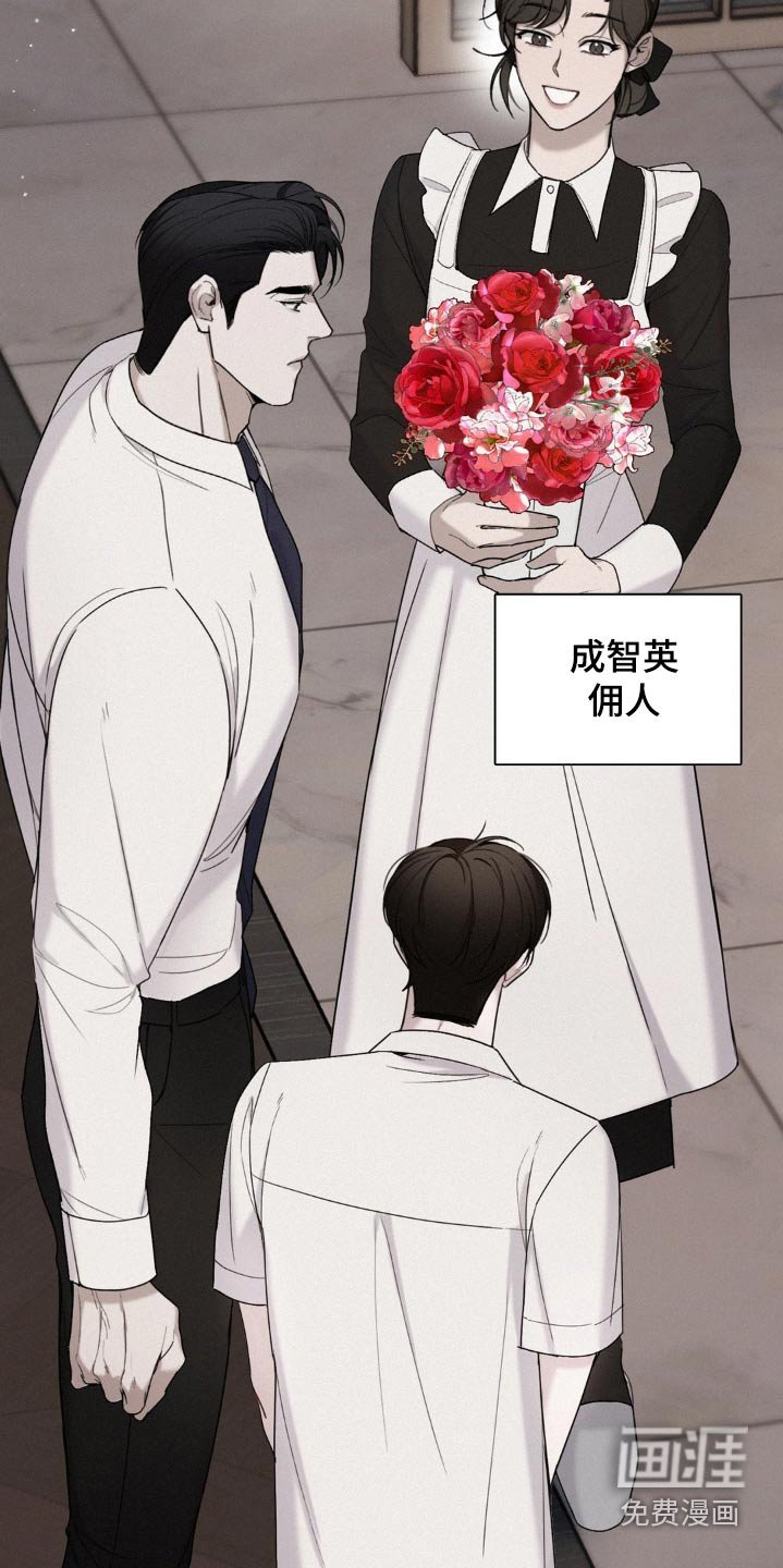 第19章：玫瑰花