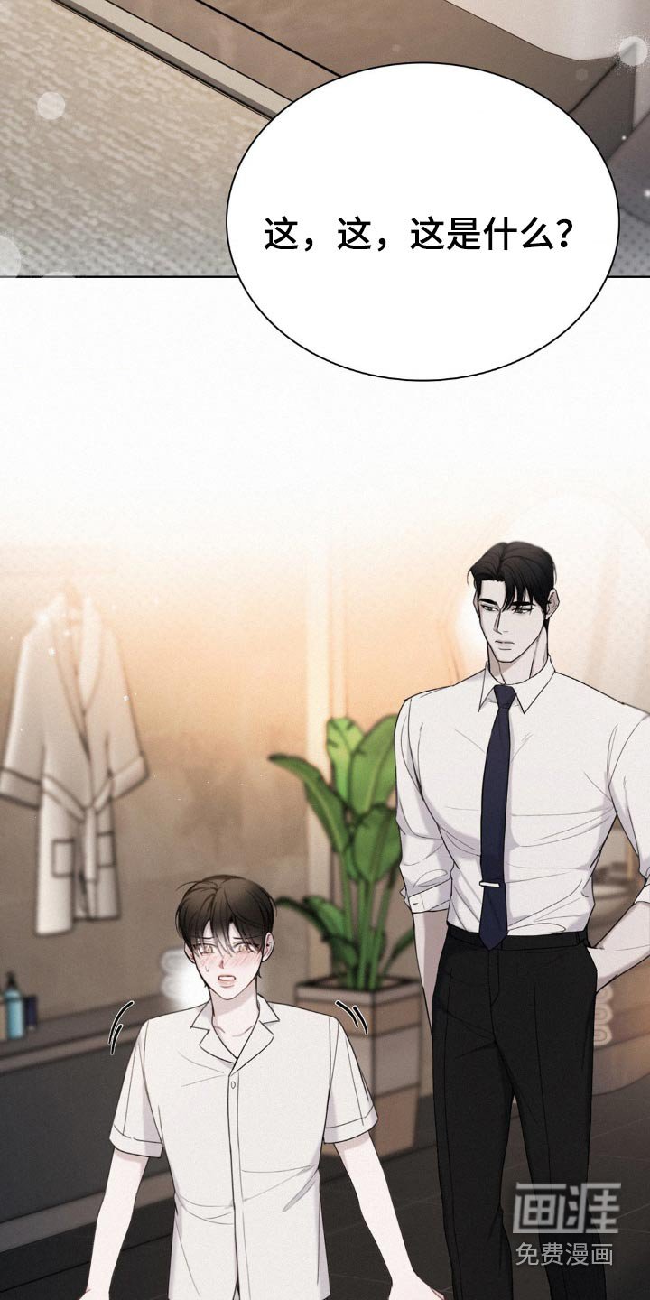 第19章：玫瑰花