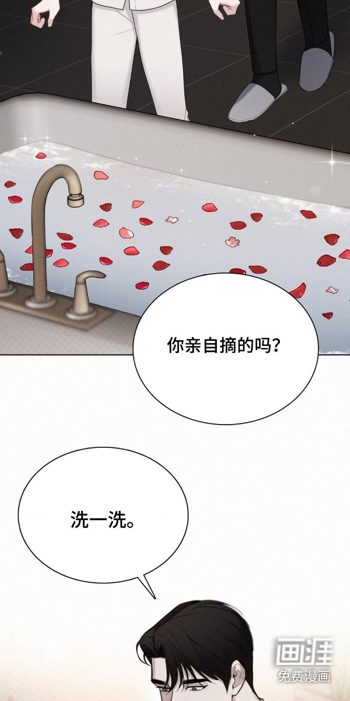 第19章：玫瑰花