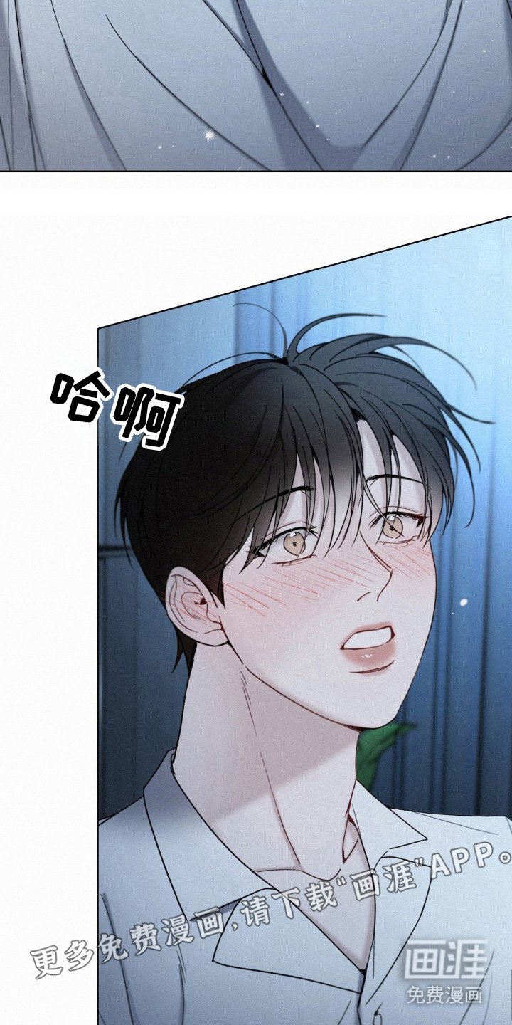 第31章：为什么