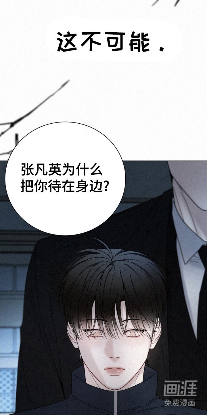 第42章：目击者之一
