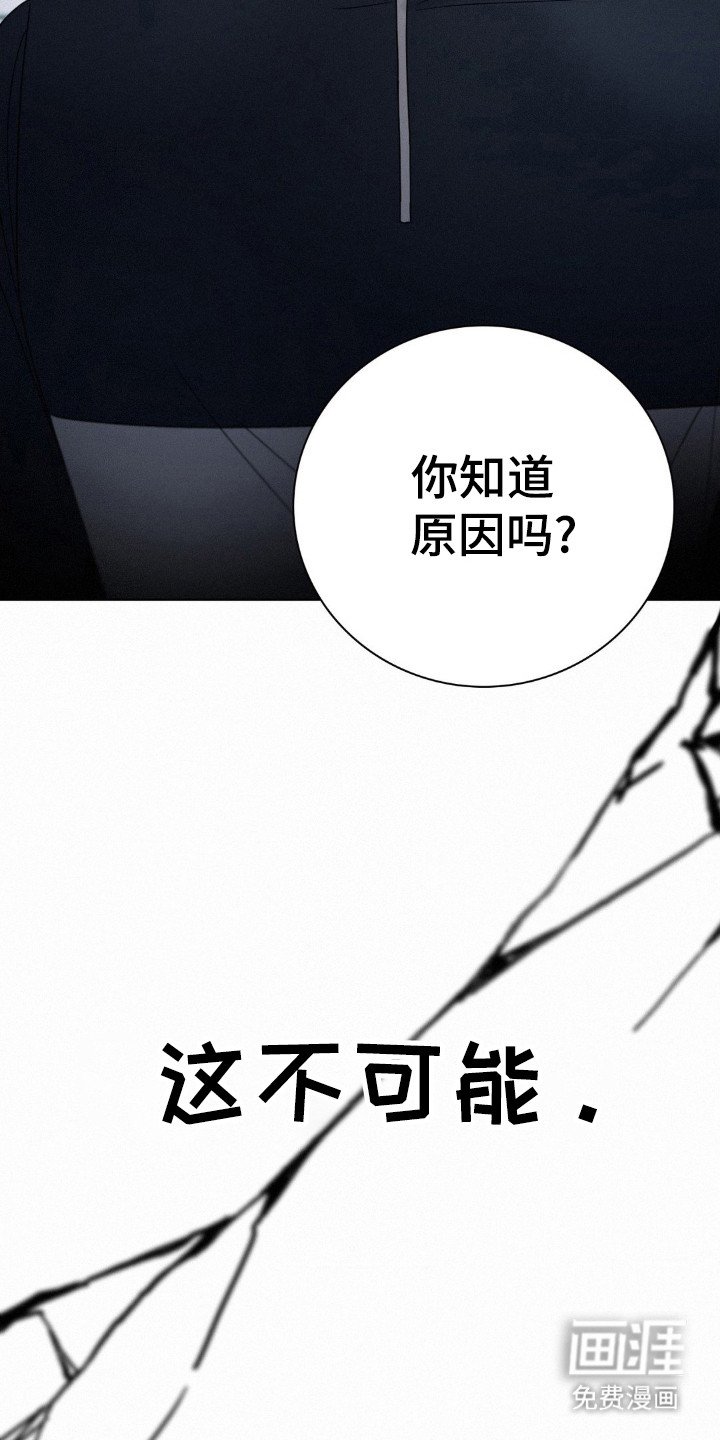 第42章：目击者之一