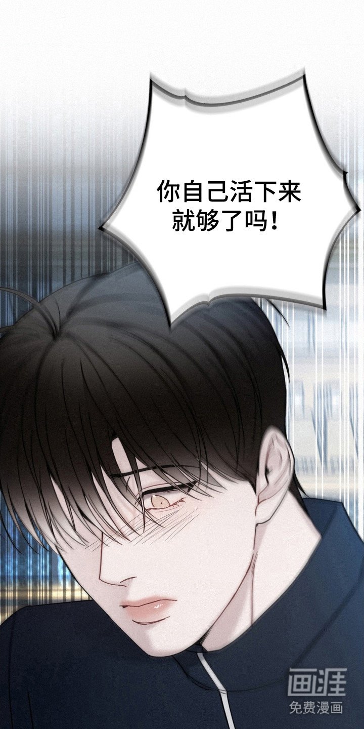 第42章：目击者之一