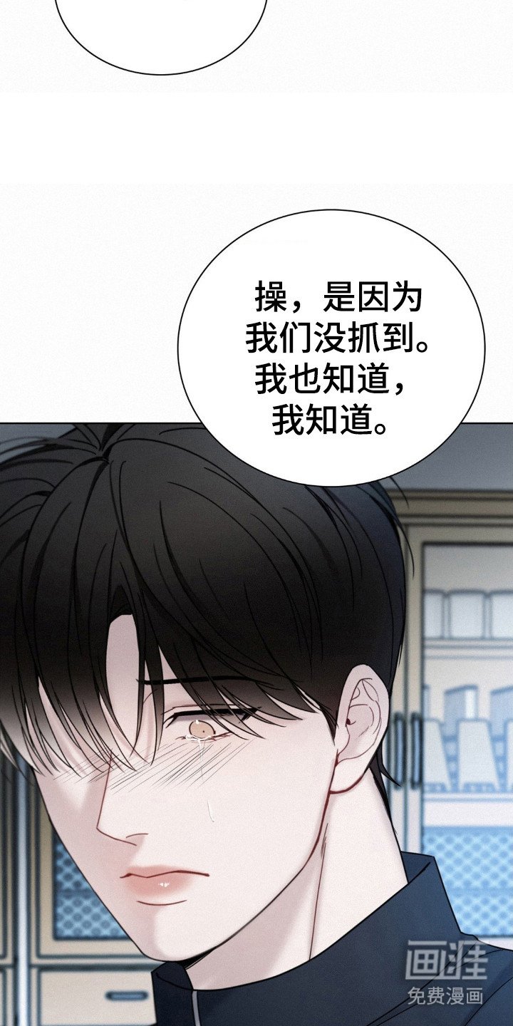 第42章：目击者之一