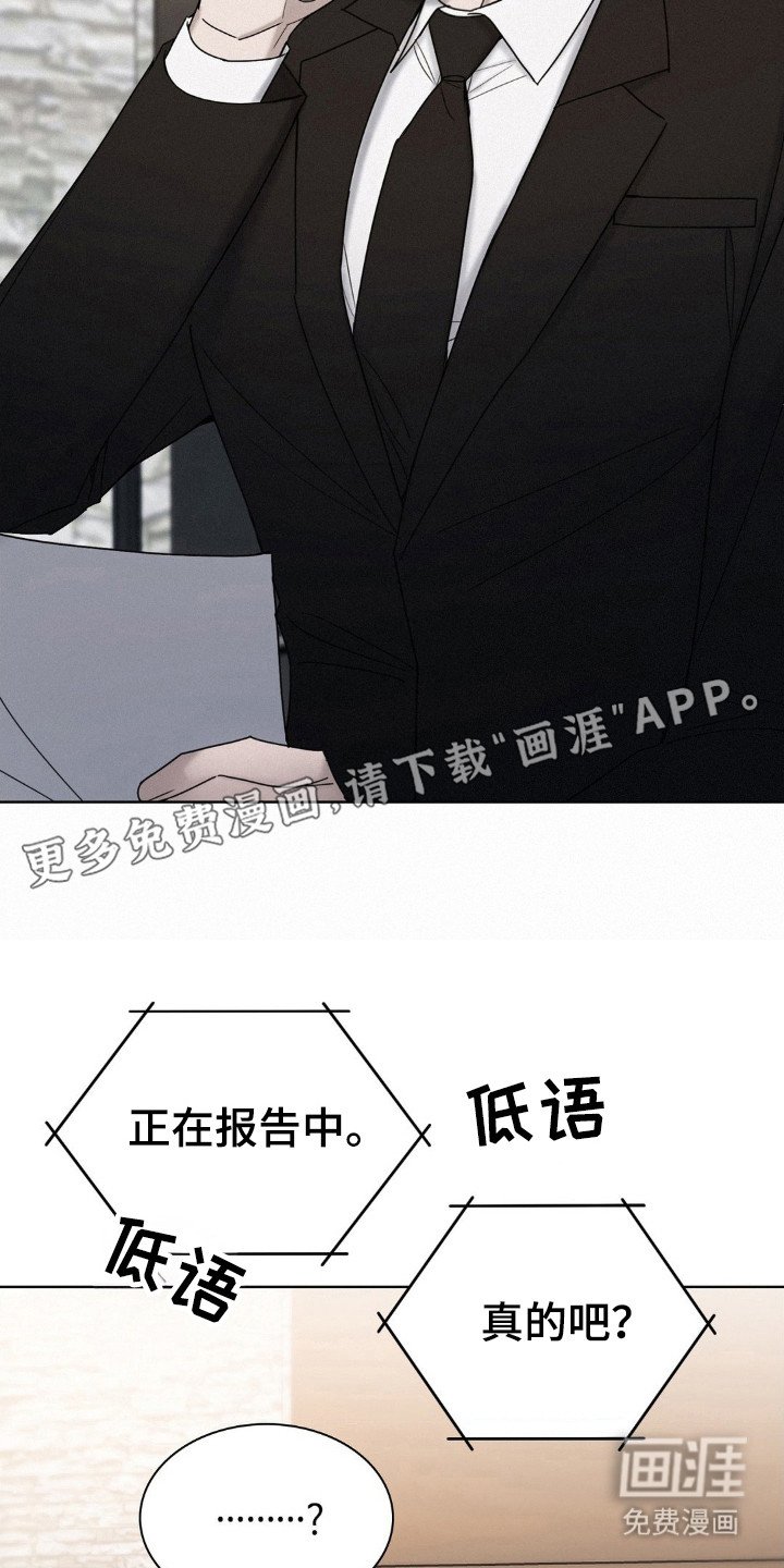 第45章：调查