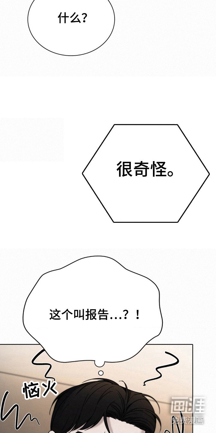 第45章：调查