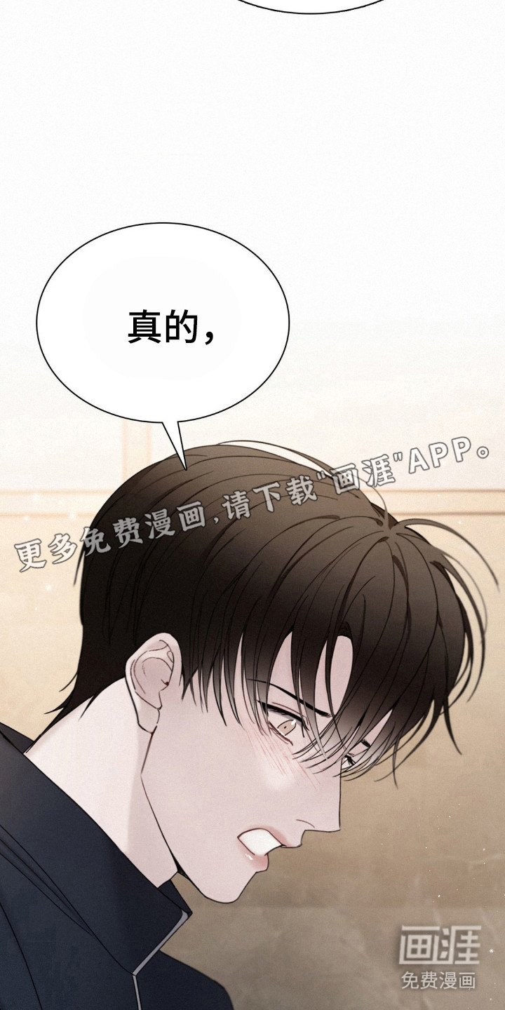 第47章：那颗心是真的