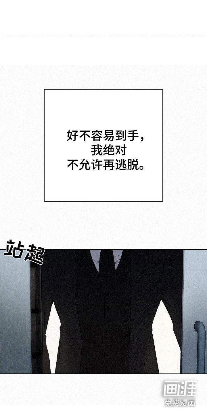 第52章：黑社会