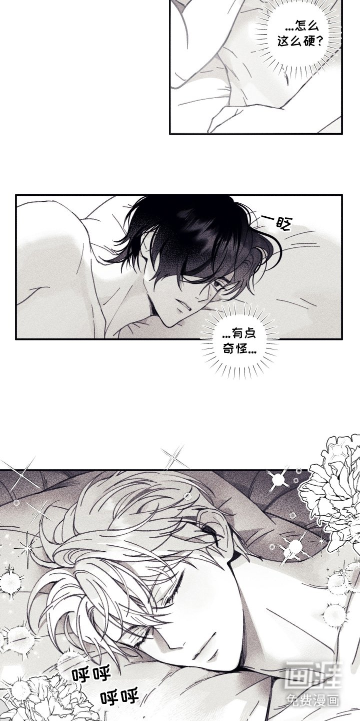 第3章：你是谁