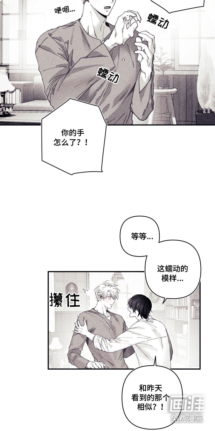第5章：是亲戚