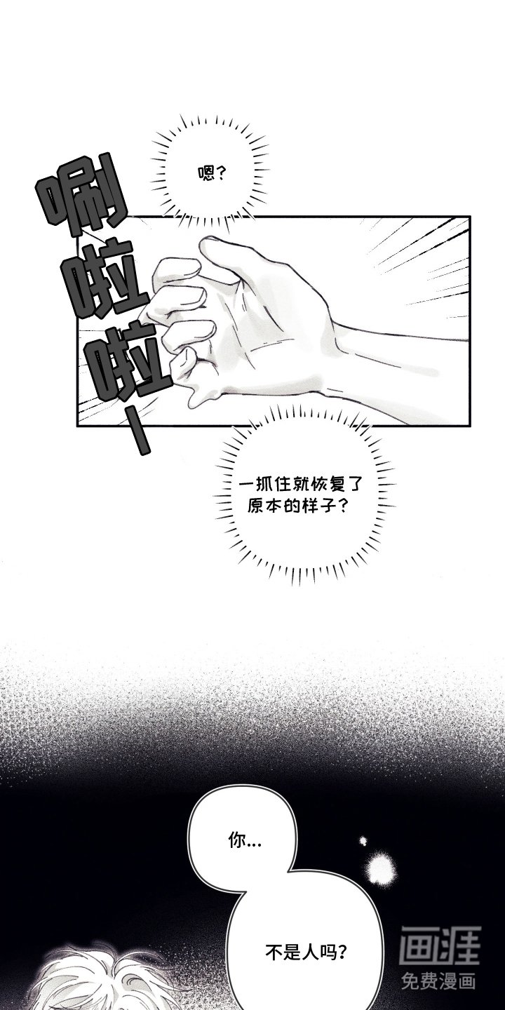 第5章：是亲戚