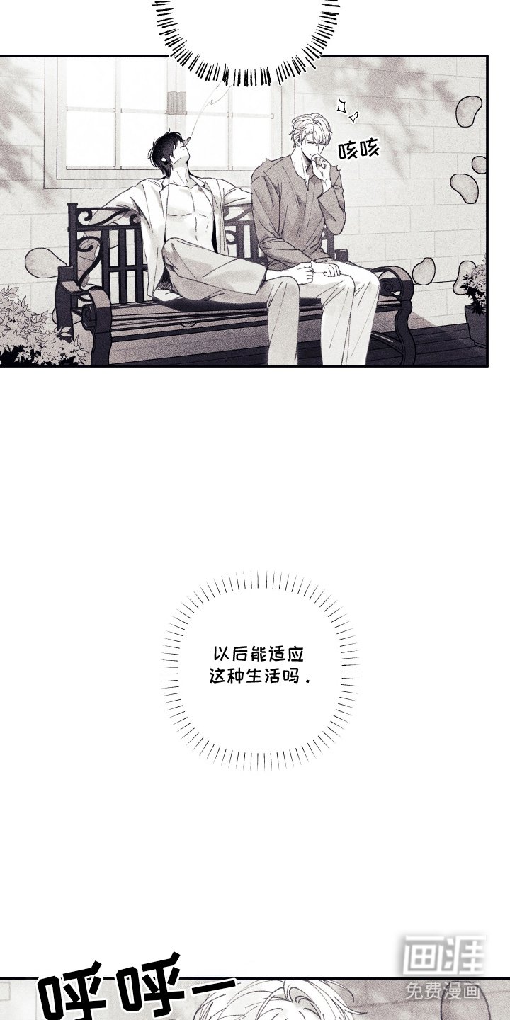 第6章：没能如愿