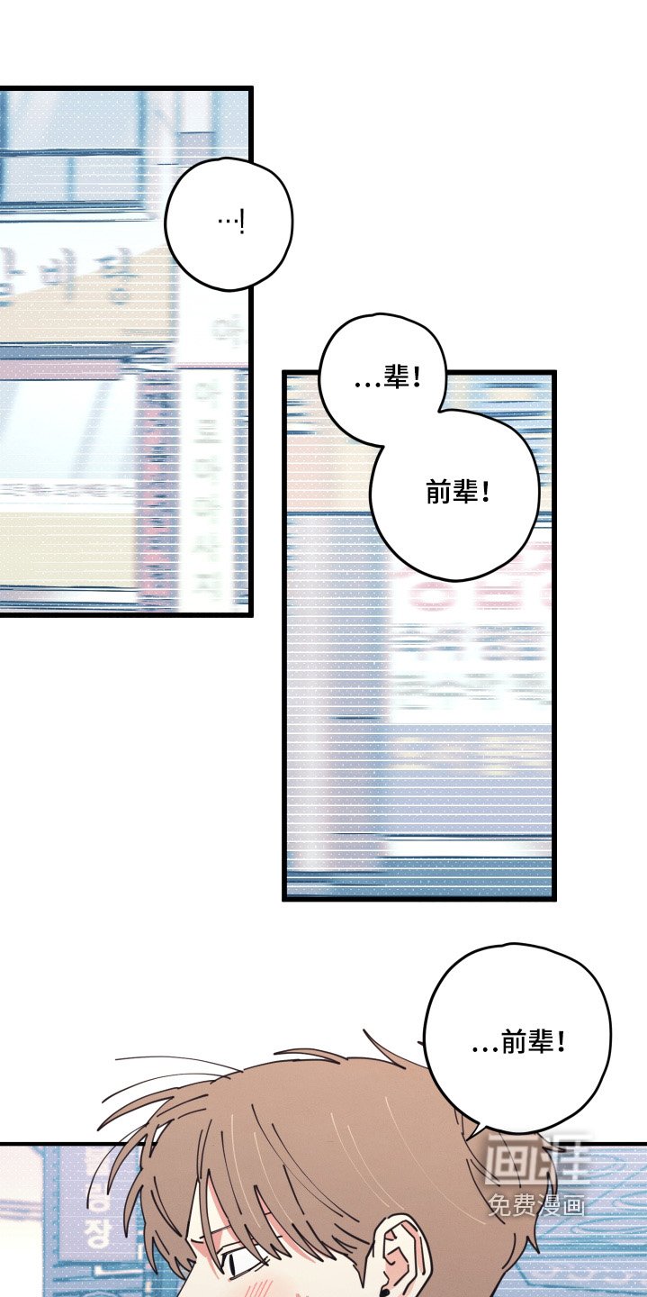 第19章：到底吃什么