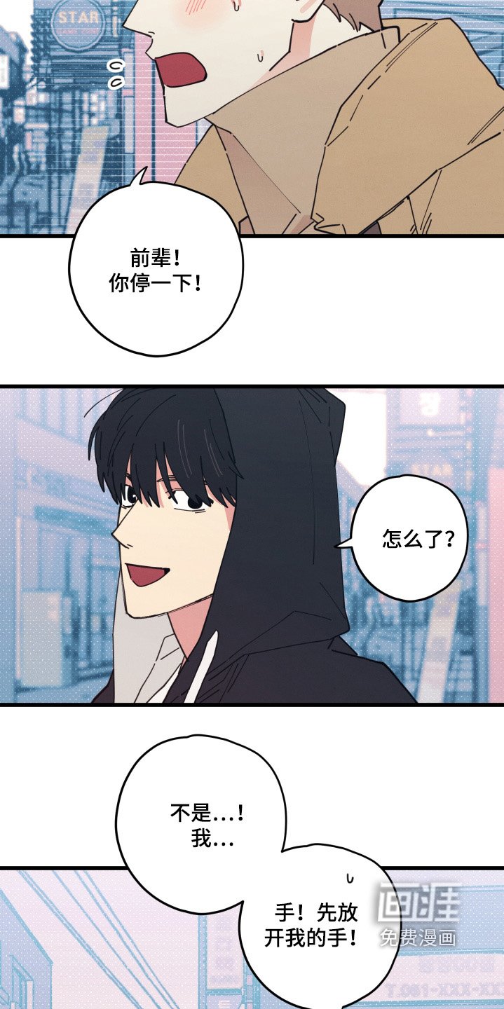 第19章：到底吃什么