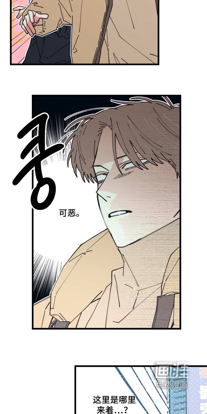 第19章：到底吃什么